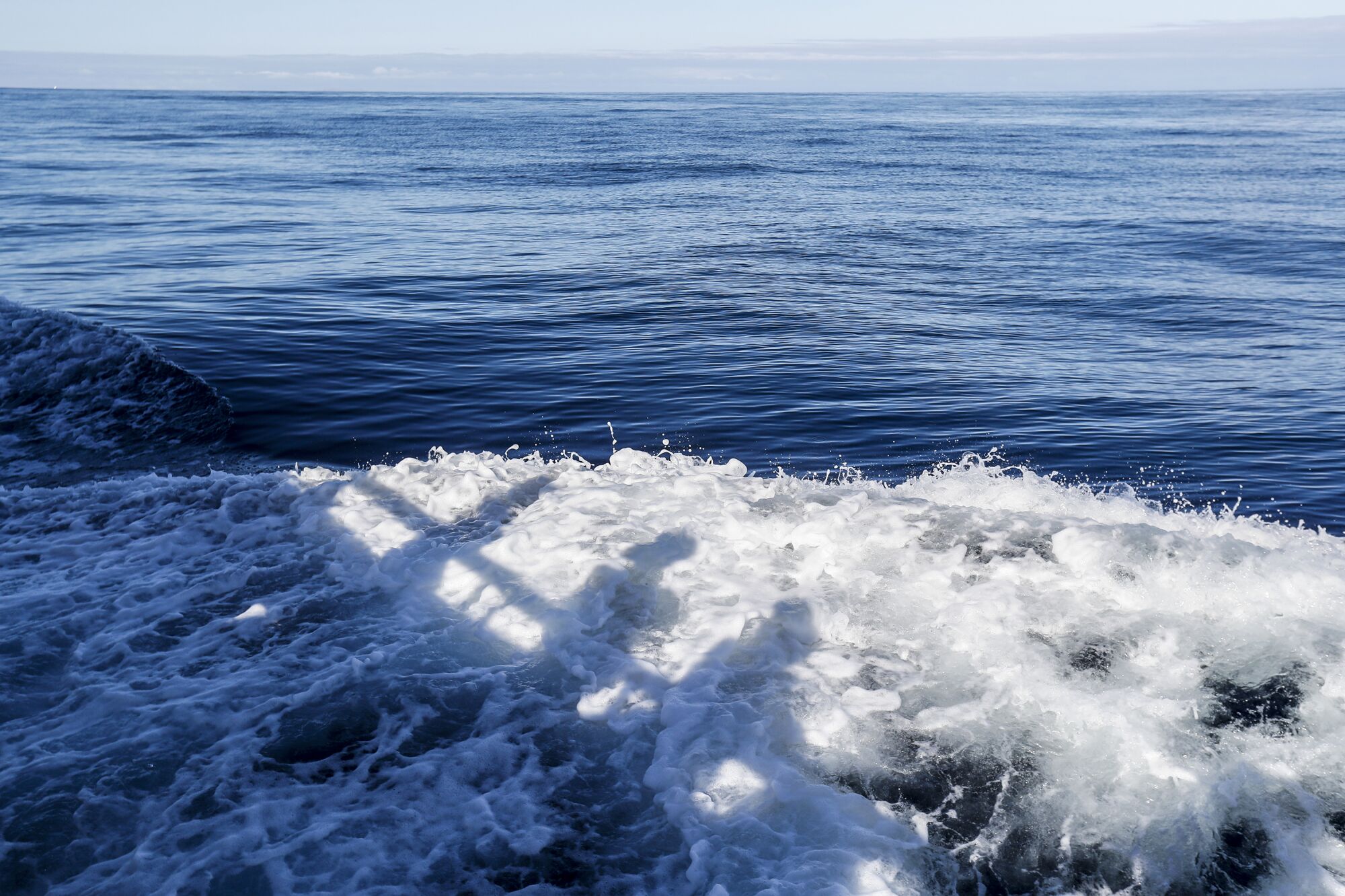 The shadows of anglers aboard the Enterprise are cast in the boat's wake as they search for the elusive Dorado.