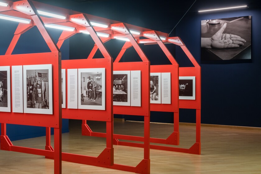 Dark blue walls and harsh industrial lighting are part of the exhibition's installation.