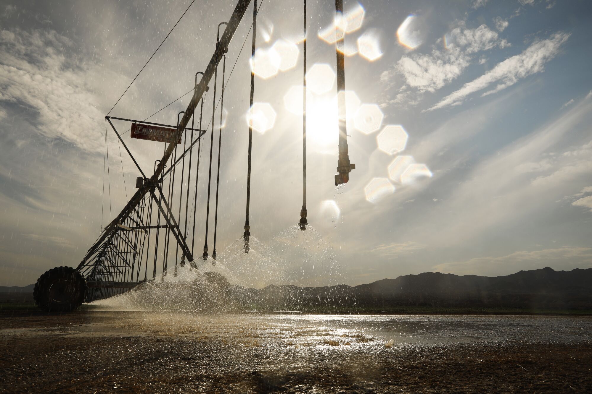 Sprinklers irrigate fields