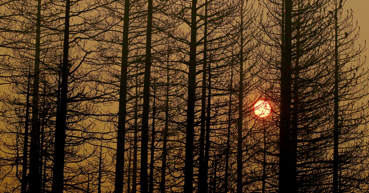 California fires are burning at higher elevations than ever, creating new dangers 1 California fires are burning at higher elevations than ever, creating new dangers