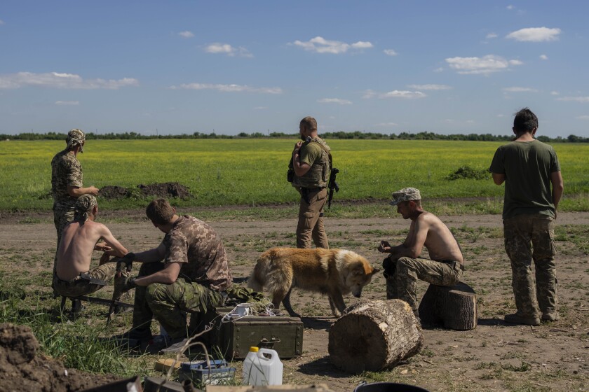 Ukrainian soldiers relaxing