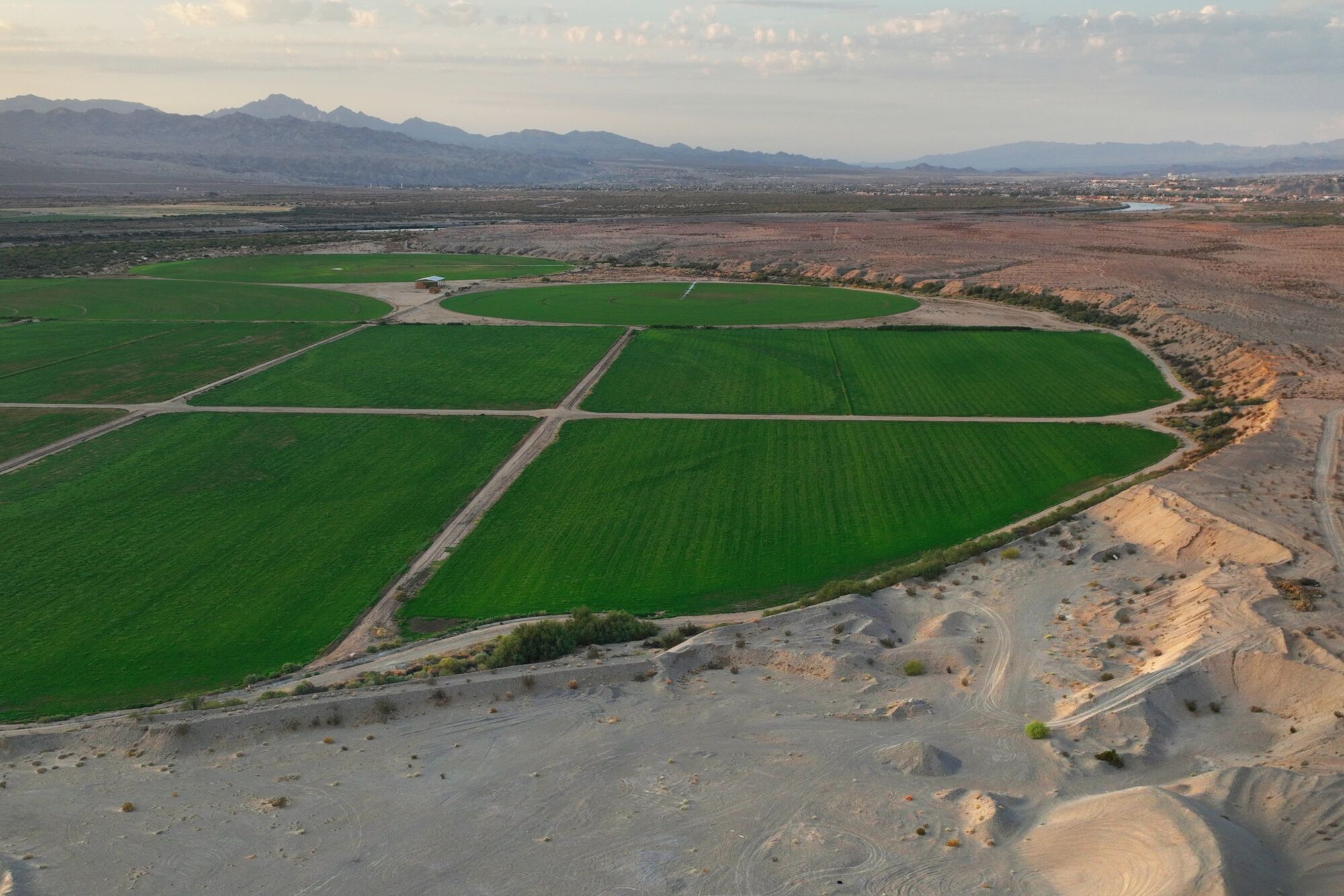 Lush green fields in a desert