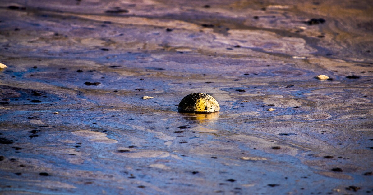 What caused the massive oil spill off Huntington Beach? Here is what we know 1 What caused the massive oil spill off Huntington Beach? Here is what we know