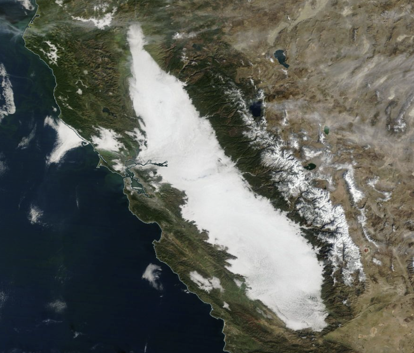 FOG California Bay Area weather: Here main image 3