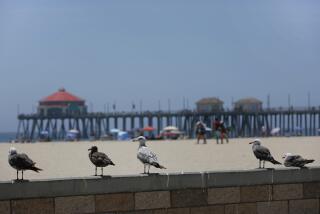Huntington Beach, CA - July 21: A view of the Huntington Beach Pier on Wednesday, July 21, 2021, in Huntington Beach, CA. (Madeleine Hordinski / Los Angeles Times)