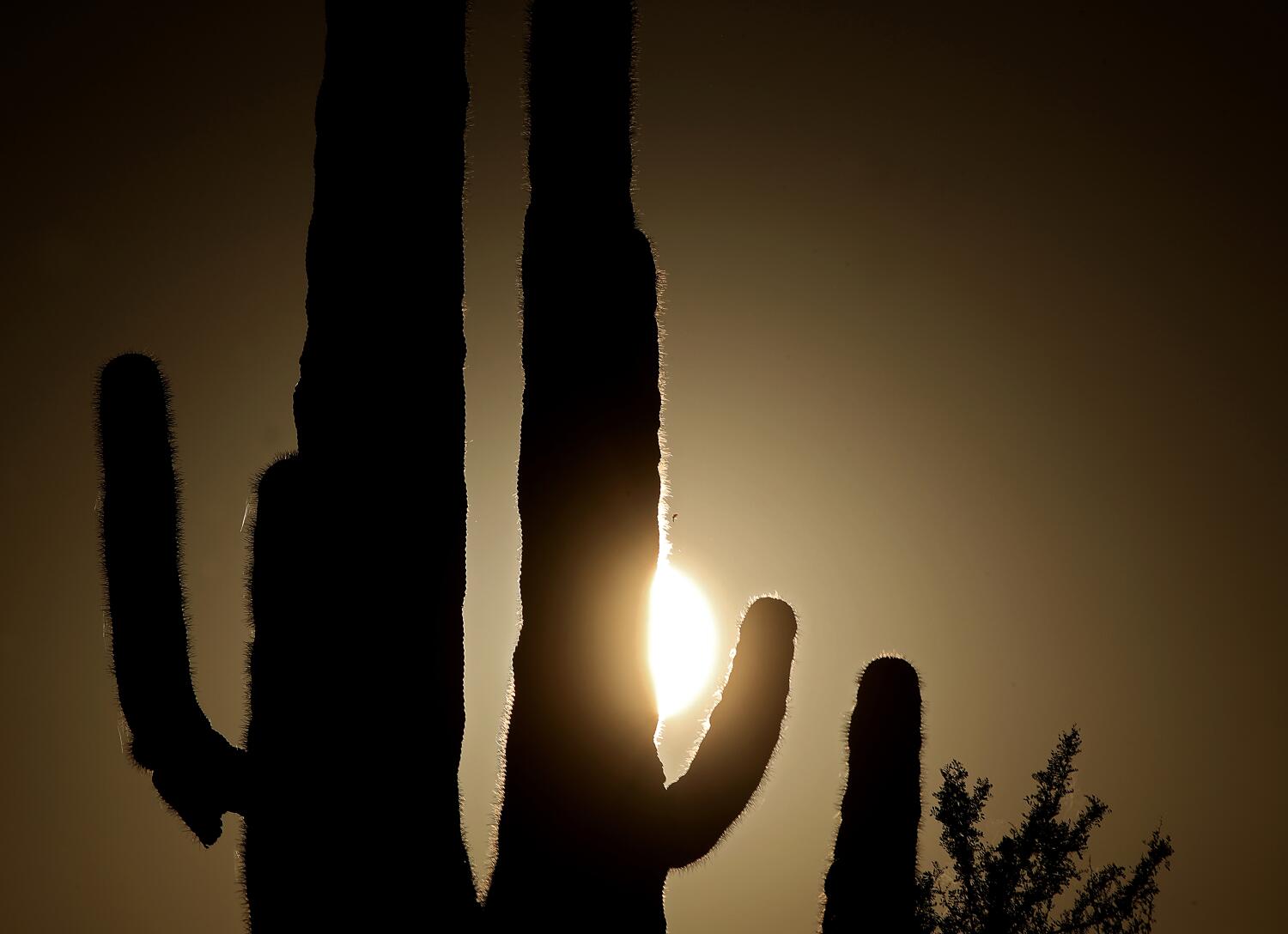 Body found in Arizona identified as L.A. man 27 years later 1