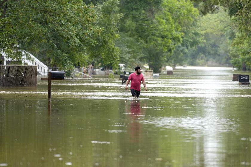 A man walks through floodwaters on River Oaks Drive, Saturday, May 4, 2024, in Woodloch, Texas. (Karen Warren/Houston Chronicle via AP)