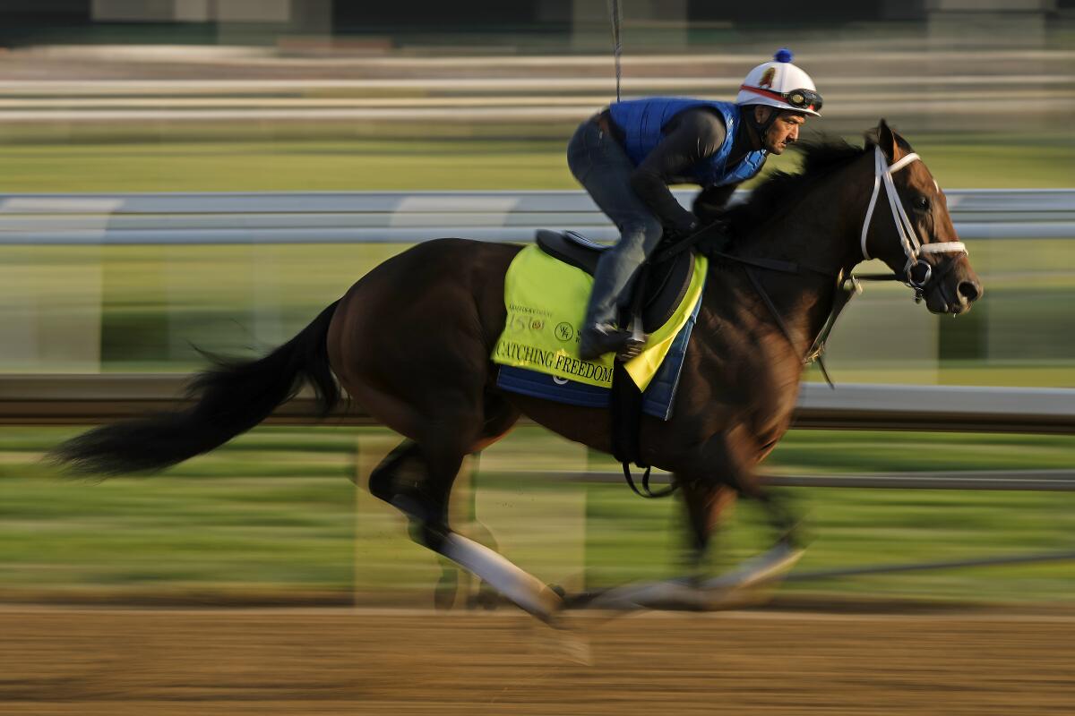 Kentucky Derby entrant Catching Freedom works out at Churchill Downs 