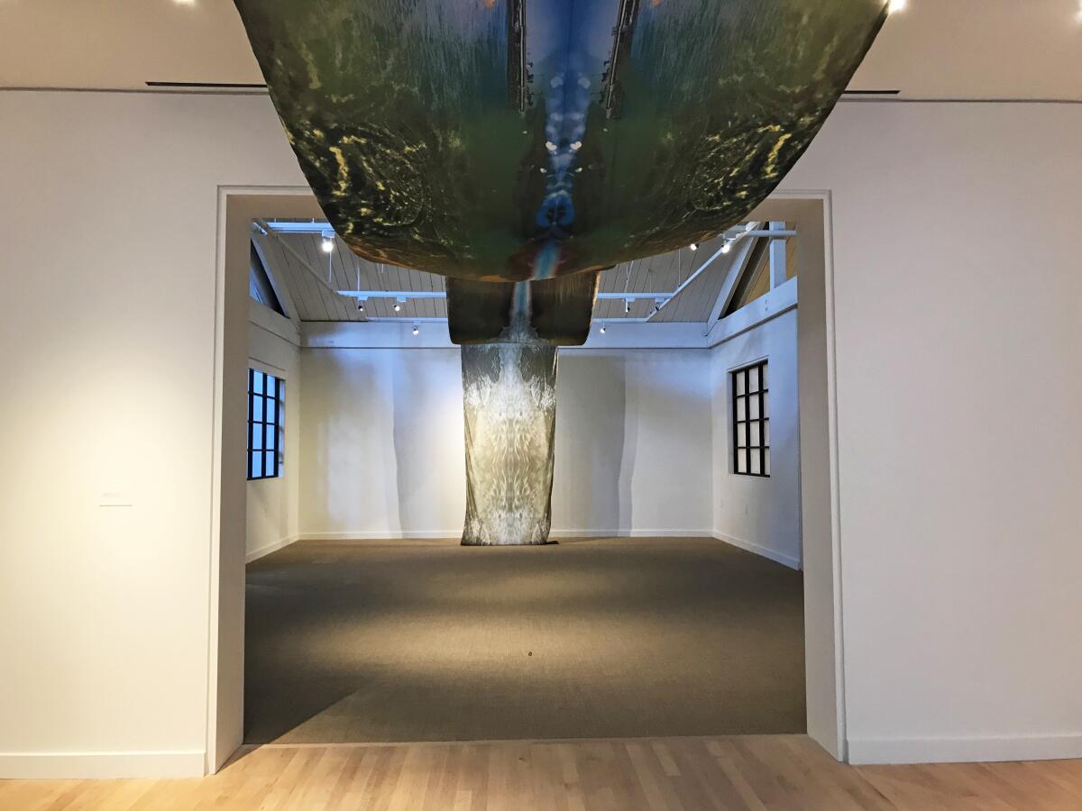 An installation view of "Wanaawna Meets Salty Waters," 2019, by Carolina Caycedo at the Orange County Museum of Art.