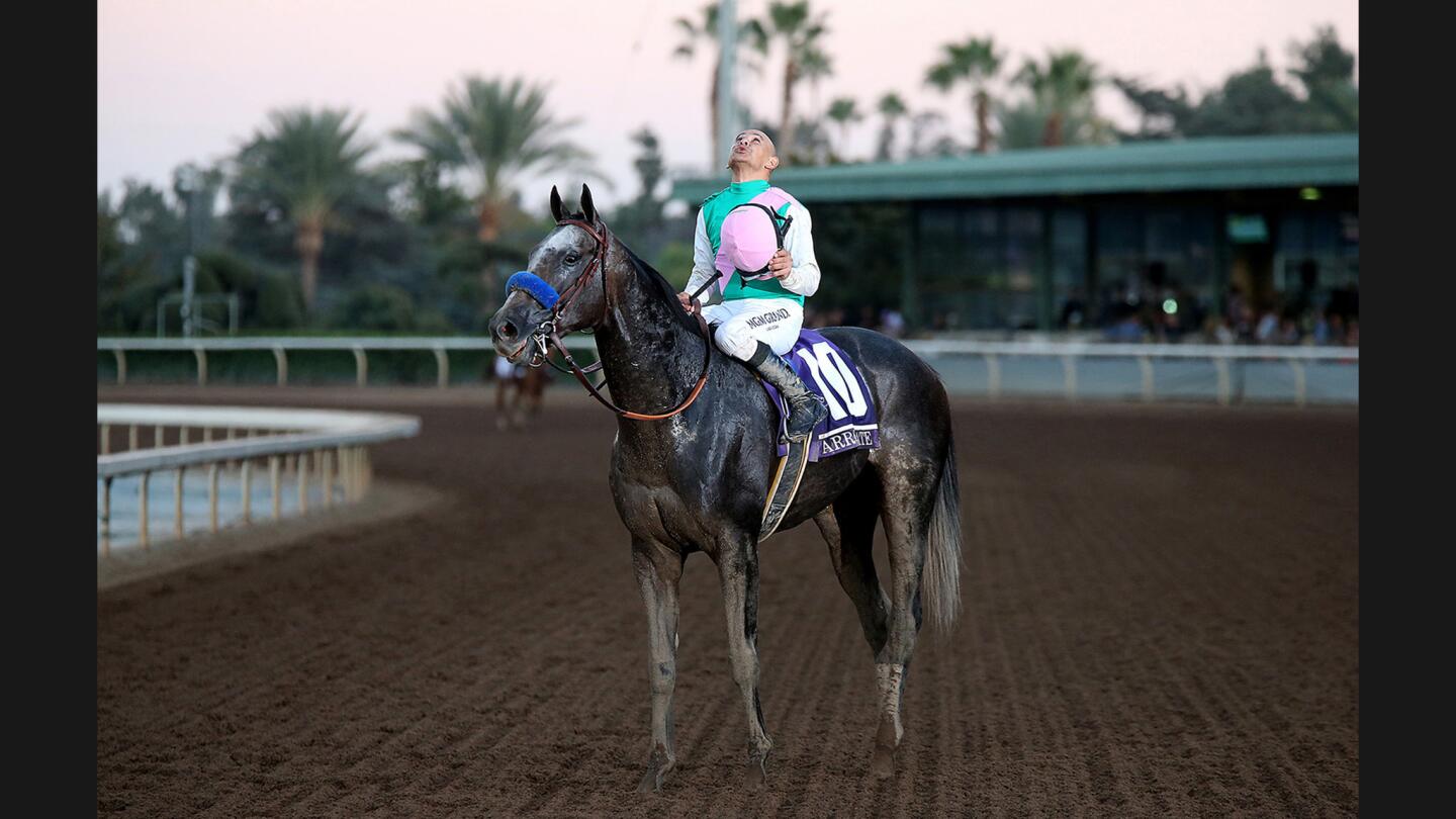 Jockey Mike Smith celebrates aboard Arrogate after winning the Breeders' Cup Classic at Santa Anita Park on Saturday.