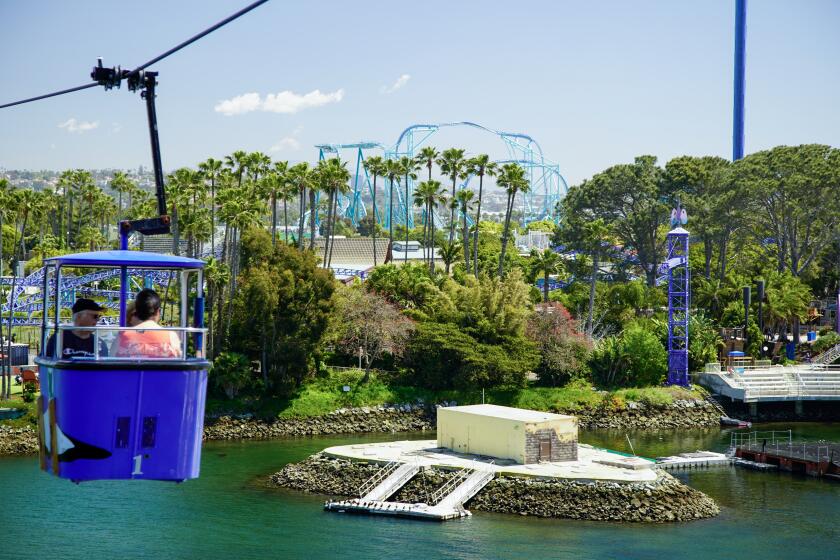 San Diego, California - April 02: SeaWorld San Diego celebrates it's 60th anniversary. Park visitors on the Bayside Skyride in Mission Bay on Tuesday, April 2, 2024 in San Diego, California. (Alejandro Tamayo / The San Diego Union-Tribune)