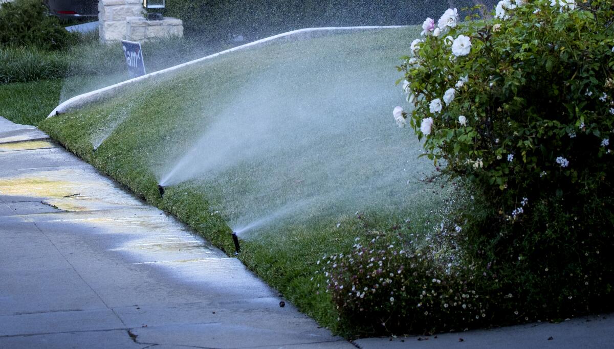 Sprinklers water grass and flowers outside a Beverlywood home in Los Angeles on June 1.