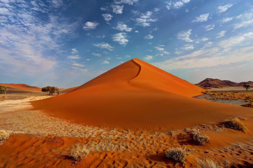 At the start of a sand dune in the Namib desert.