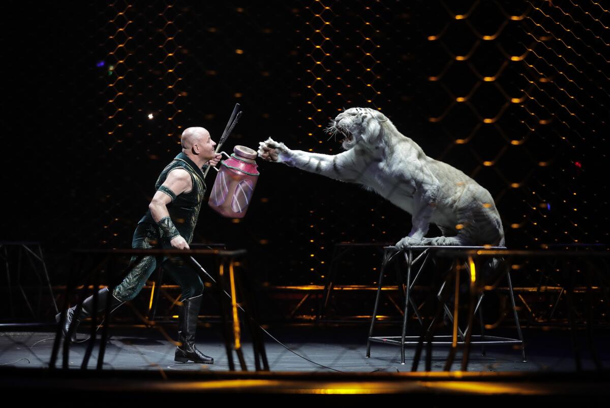 Why the circus is back without animals and what that means Why the circus is back without animals and what that means