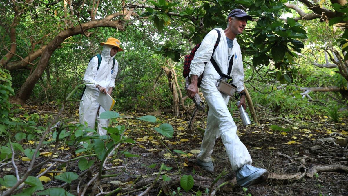 Columbia physics professor Emlyn Hughes, right, and Barnard student Gemma Sahwell, left, take soil samples with a hand-held gamma ray detector on Naen Island. Emlyn Hughes is the leader of the scientific expedition.