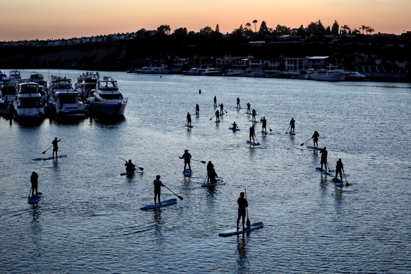 A cluster of paddleboarders at twilight, seen from a distance. 