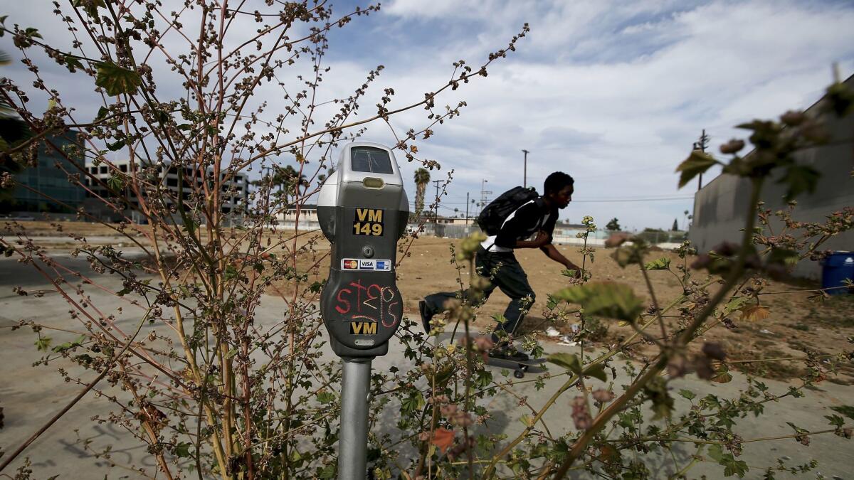 A parking meter appears to grow out of a patch of weeds next to a vacant lot at the intersection of Manchester and South Vermont avenues in South Los Angeles, one of many flashpoints during the 1992 riots.