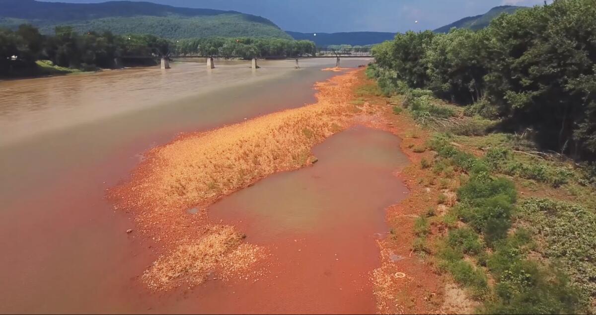 A still from the film "A River Reborn" shows Pennsylvania's Little Conemaugh River.