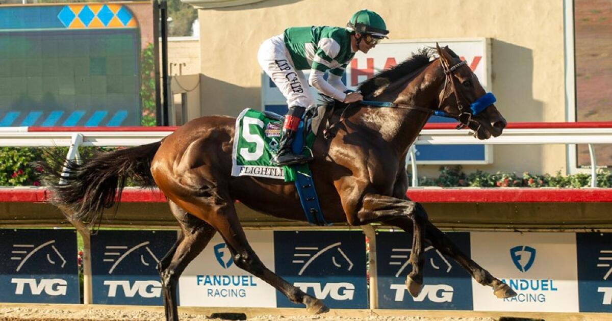 Del Mar remains the bright spot on struggling California horse racing landscape Del Mar remains the bright spot on struggling California horse racing landscape