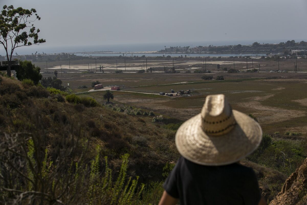 Heal the Bay's Shelley Luce looks out over the Ballona Wetlands.