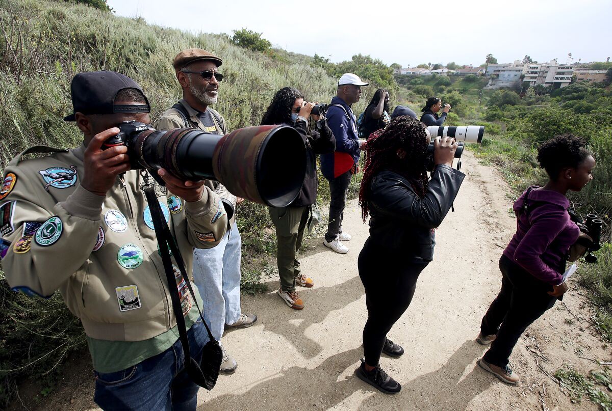 A group of people on a hill looking through cameras and binoculars.