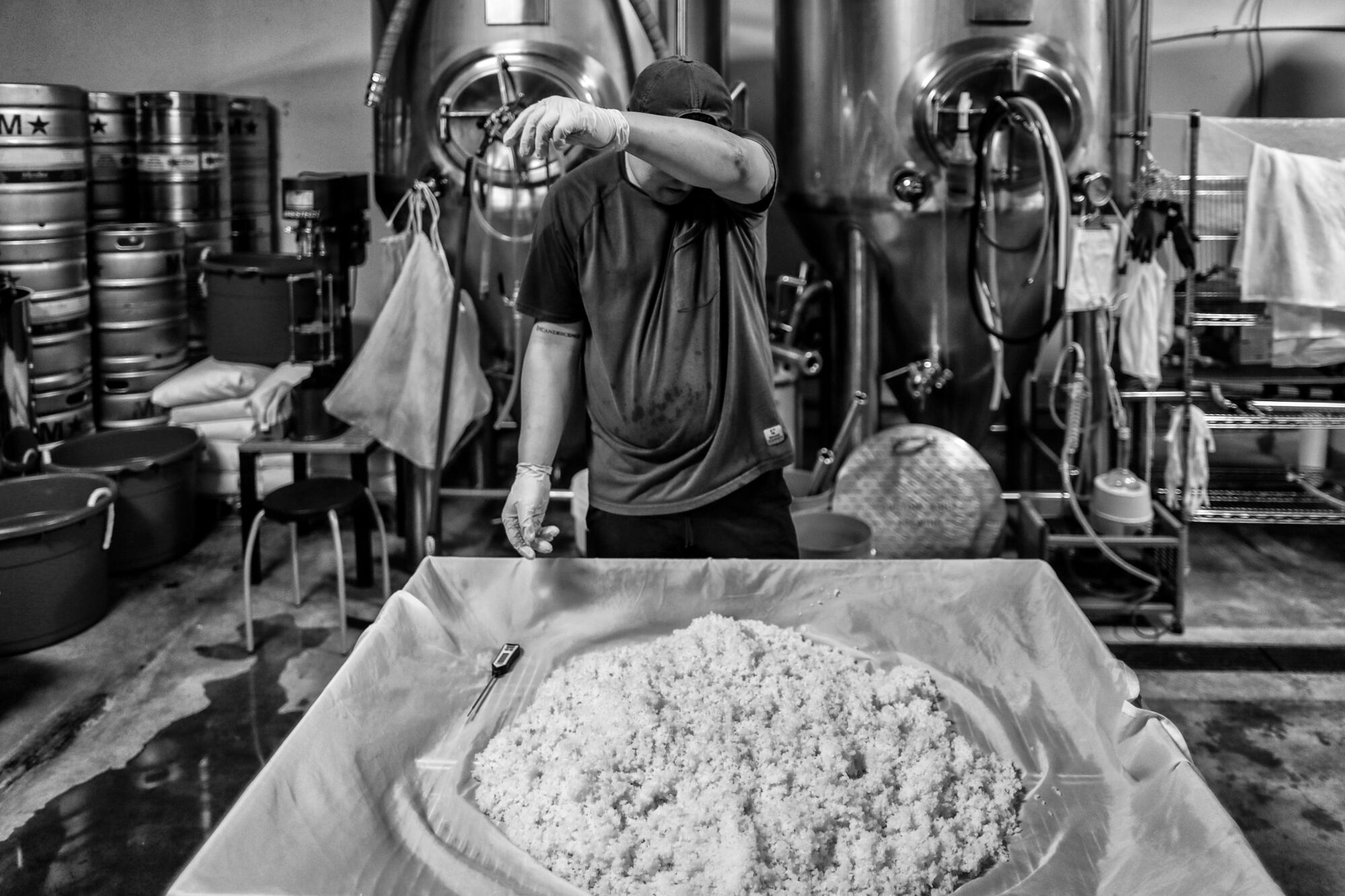 James Jin wipes sweat from his brow as he manually mixes steamed rice early in the process of brewing his craft sake.