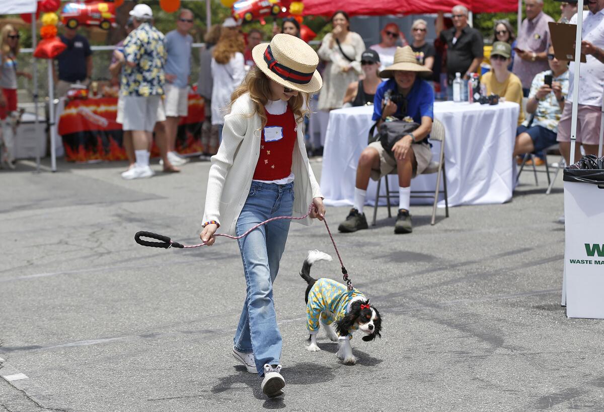 Owner Bear Purko walks Phoebe in best costume category during the pet parade.