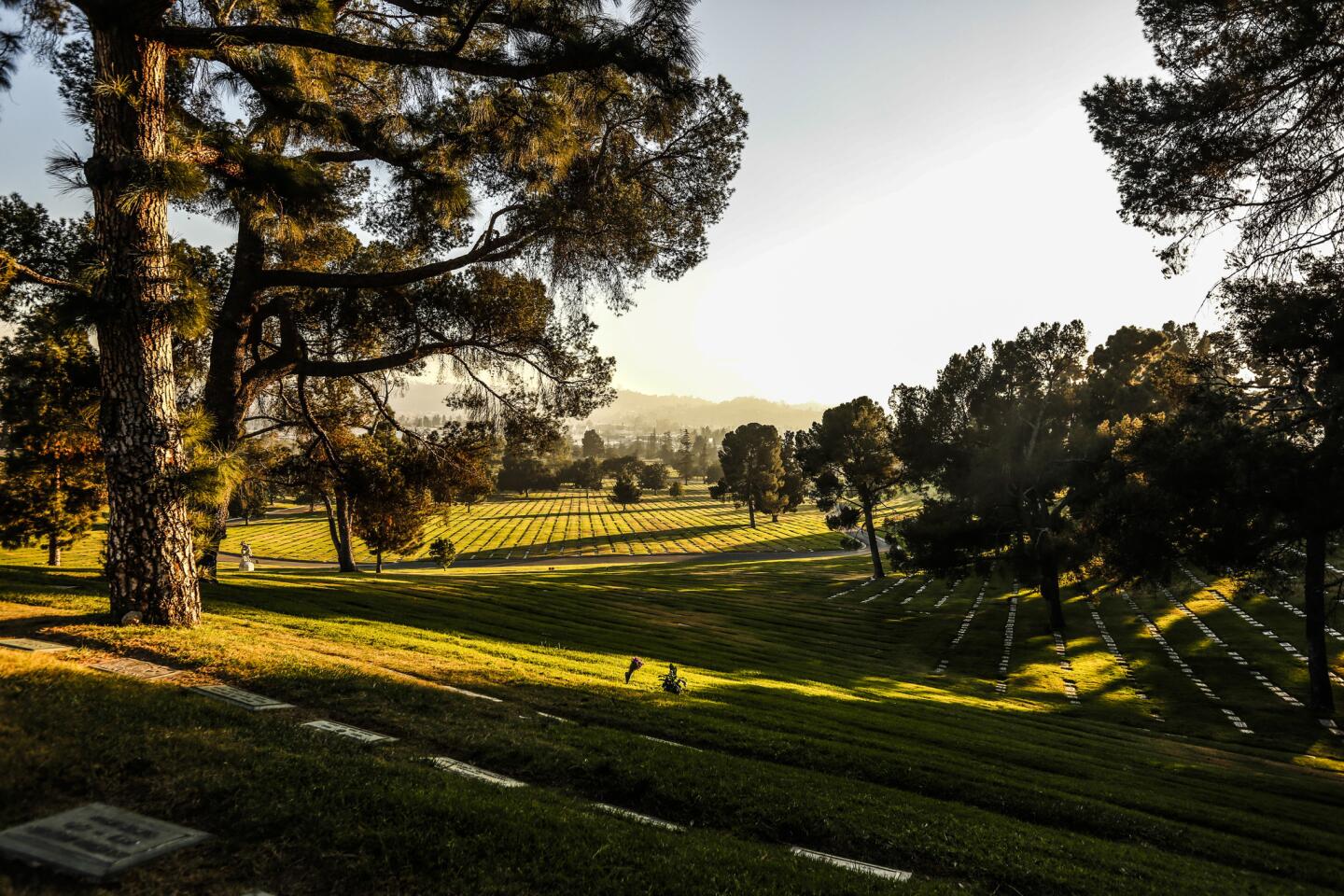 L.A. Walks: Forest Lawn