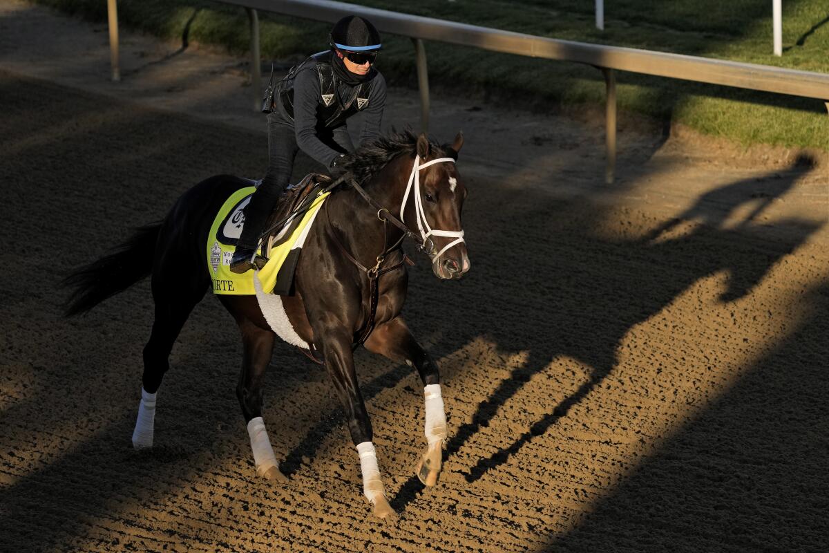 Kentucky Derby hopeful Forte works out at Churchill Downs.