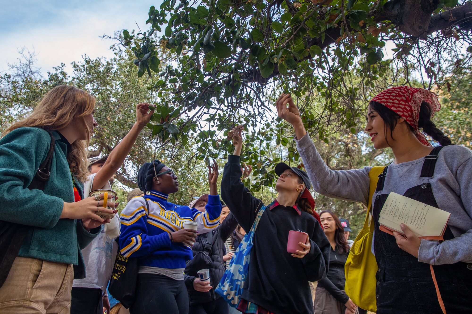 A group of people touch the leaves of a tree on a nature walk with Usal Project.