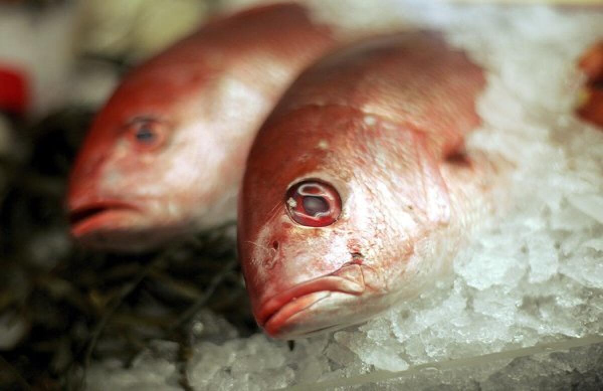 A new study suggests women are opting for less contaminated types of fish. The U.S. Environmental Protection Agency found that blood mercury levels in women of childbearing age have dropped while their fish consumption has not.