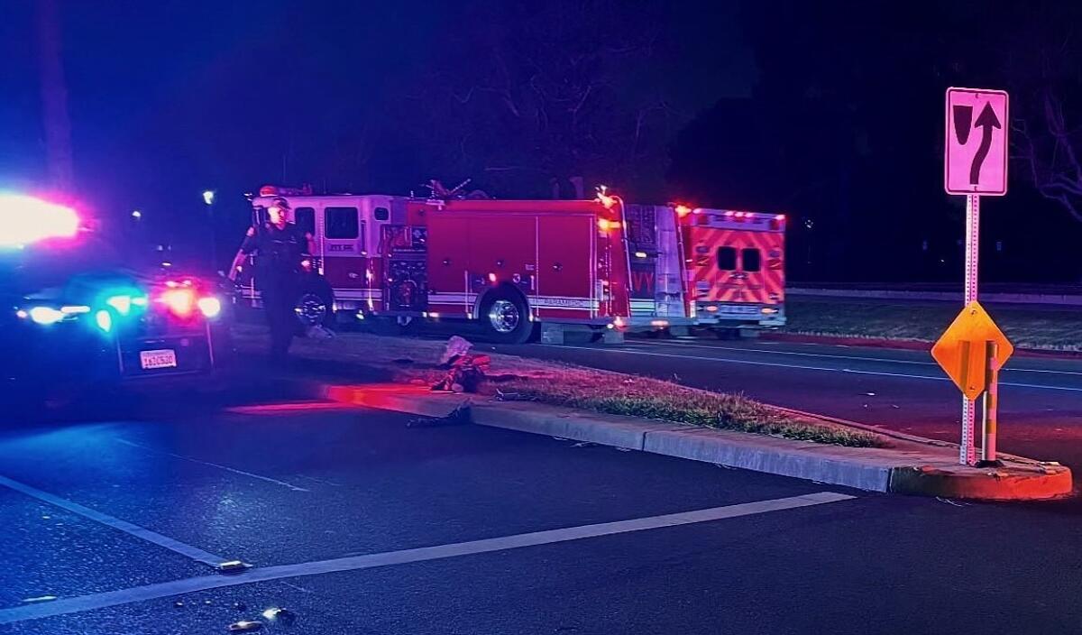 FVPD was investigating a fatal vehicle-versus-pedestrian crash on Sunday, when a DUI driver struck a patrol car.