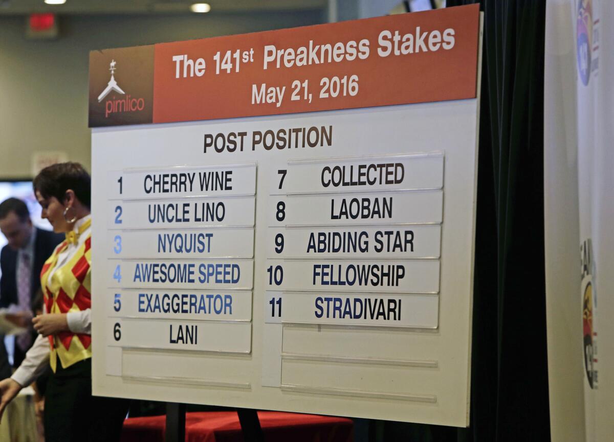 A board displays the post positions for the Preakness Stakes on Saturday at Pimlico Race Course.