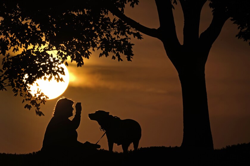 FILE - A woman plays with her dog at sunset, Saturday, Nov. 6, 2021, at a park in Kansas City, Mo. New pet owners need to prepare for the cost of medical care. Each year, dog owners spend an average of $242 on routine visits to a veterinarian and $458 on surgical visits, and cat owners spend slightly less, according to the American Pet Products Association. (AP Photo/Charlie Riedel, File)