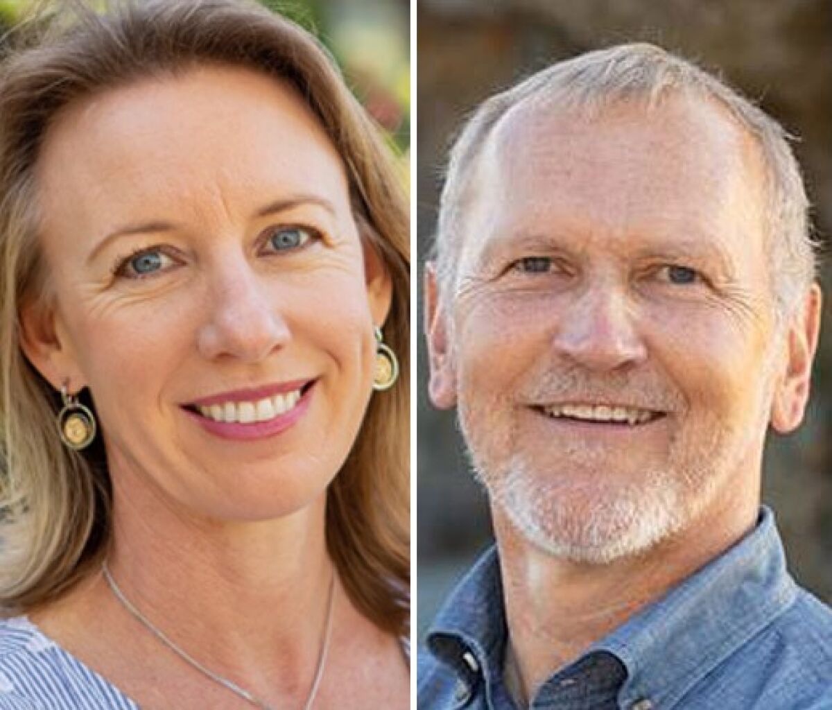 Catherine Blakespear and Matt Gunderson are on their way to the November election in California Senate District 38.