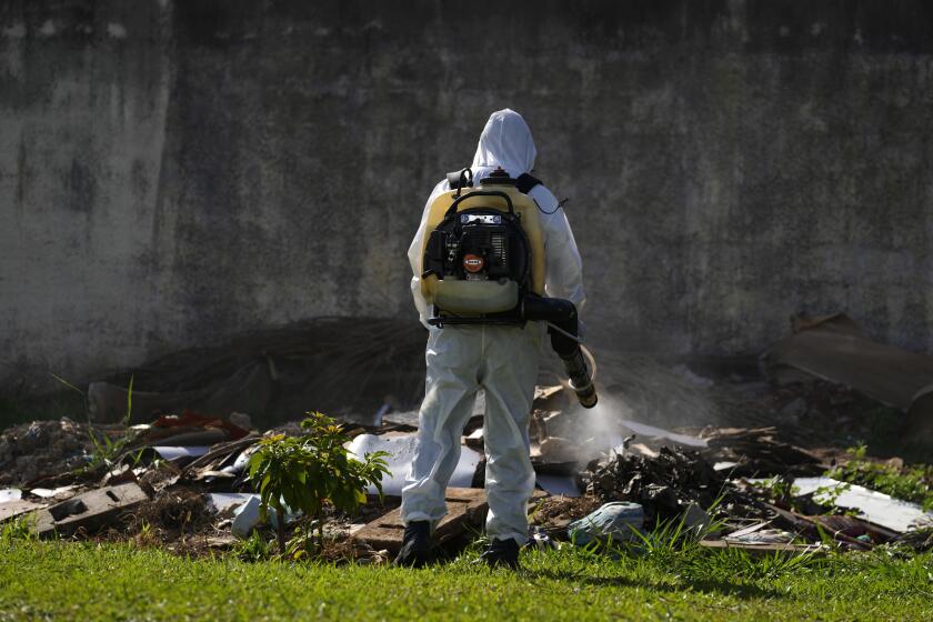 Un trabajador de salud pública fumiga el terreno de una escuela pública como parte de una campaña contra los mosquitos portadores del dengue en el vecindario de Sao Sebastiao de Brasilia, Brasil, el sábado 9 de marzo de 2024. (AP Foto/Eraldo Peres)