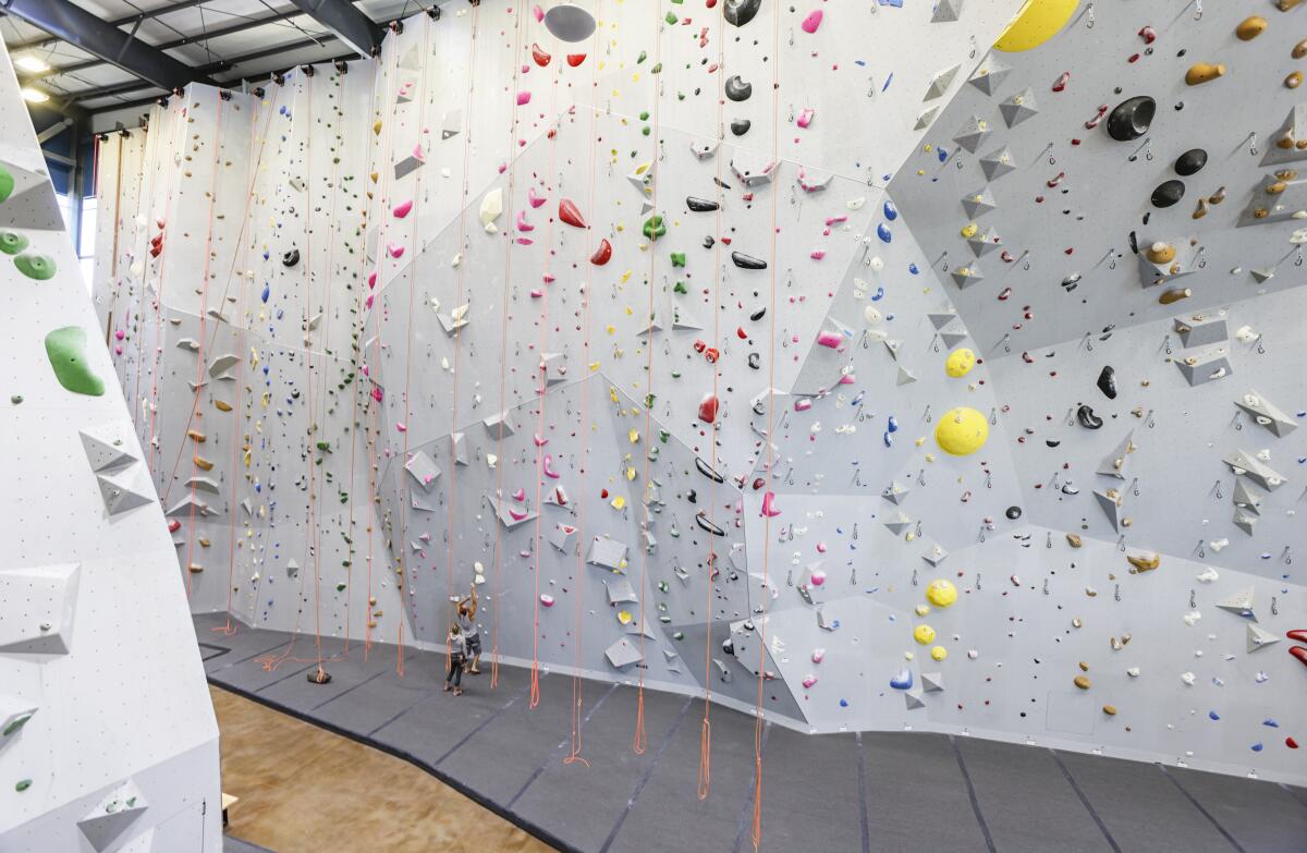 The 60-foot climbing wall inside the Mesa Rim Climbing Gym, which opened last fall in San Marcos's North City development.
