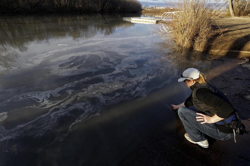 Amy Adams, North Carolina campaign coordinator with Appalachian Voices, dips her hand into the Dan River in Danville, Va., on Feb. 5 as signs of coal ash appear in the river. Duke Energy estimates that up to 82,000 tons of ash have been released from a break in a 48-inch storm water pipe at the Dan River Power Plant in Eden, N.C.