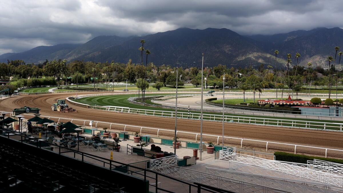 The main track at Santa Anita Park will be open for trainers to work their horses starting Wednesday. It was closed last week following the 21st horse fatality since Dec. 26.