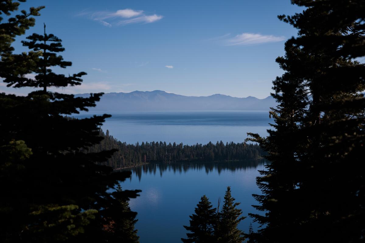 Lake Tahoe seen below a ridge of trees