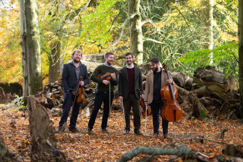 The Maxwell String Quartet stand in a forest.