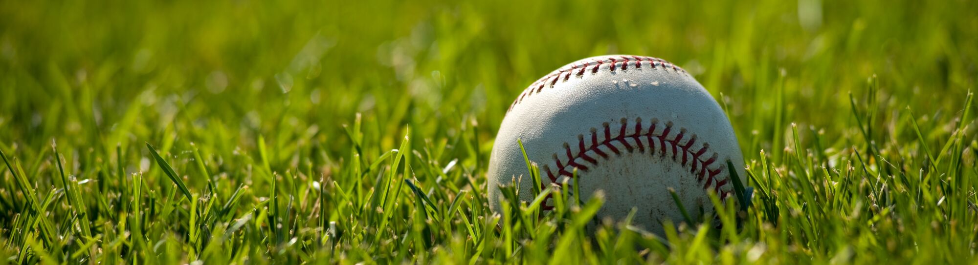 a white leather baseball lying on a baseball field with green grass with copy space