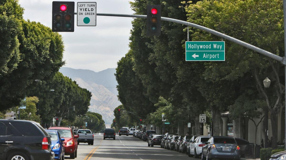 Burbank is looking to develop its urban forest by replacing existing trees, such as the ficus trees on Magnolia Boulevard, with species that are less invasive and more compatible with the city.
