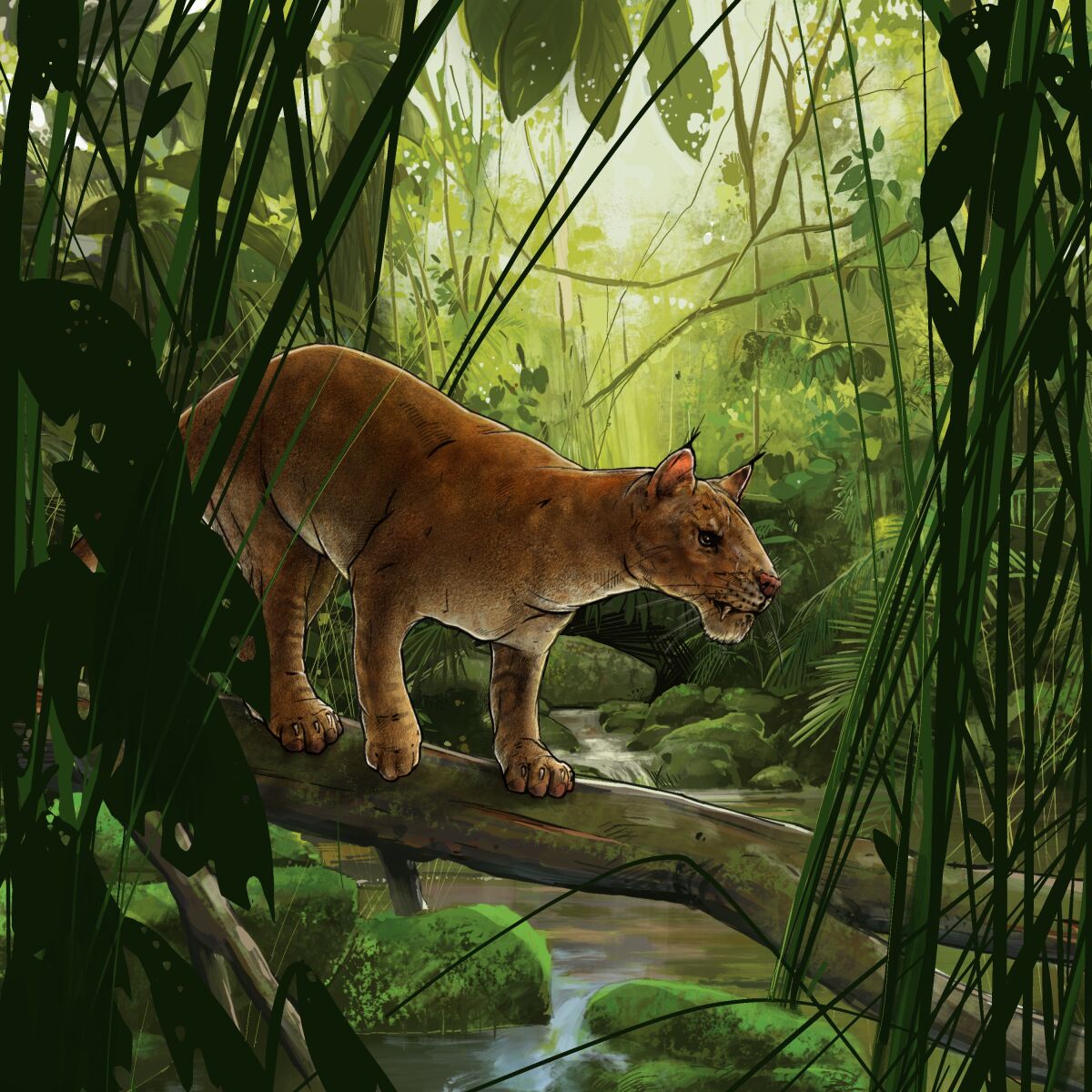 A drawing of a wild cat in a rainforest.
