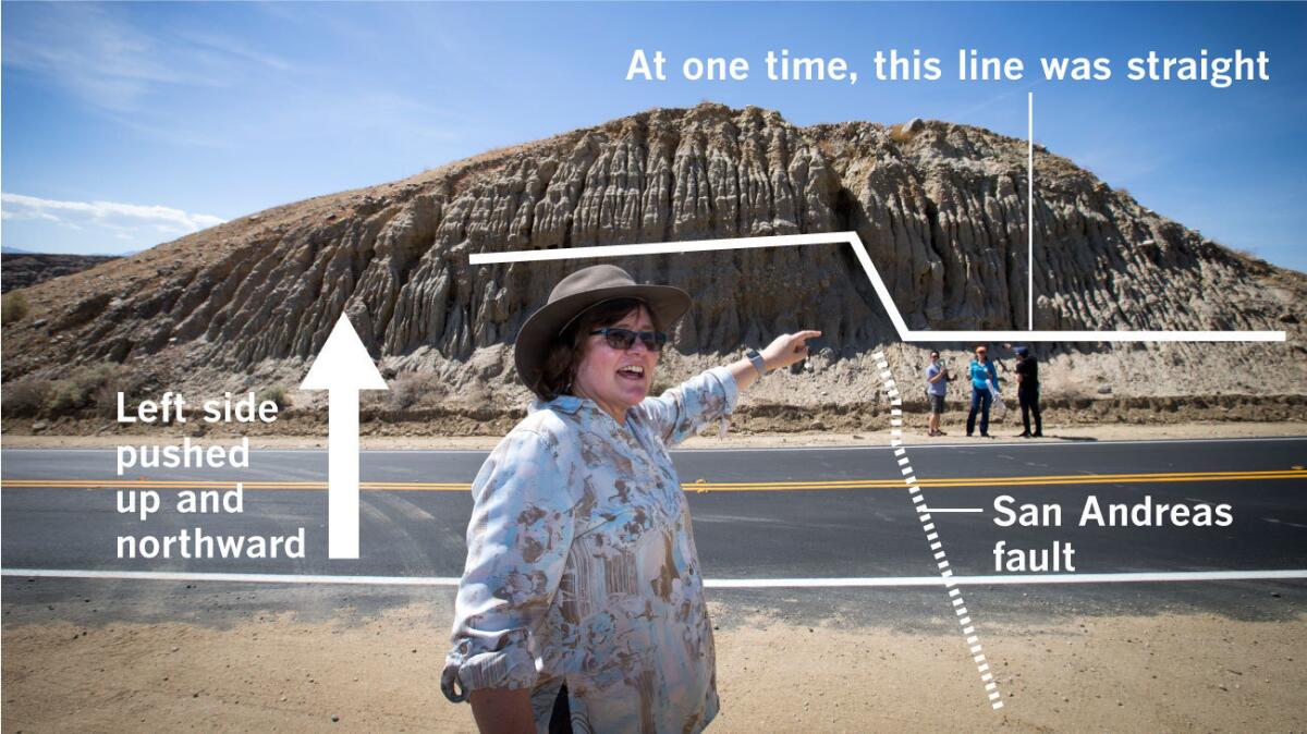Seismologist Lucy Jones stands on top of the San Andreas fault, which has pushed up the left side of the hill northward and higher than the side to the right from past earthquakes. (Photo by Allen J. Schaben / Annotation by Raoul Ranoa / Los Angeles Times)