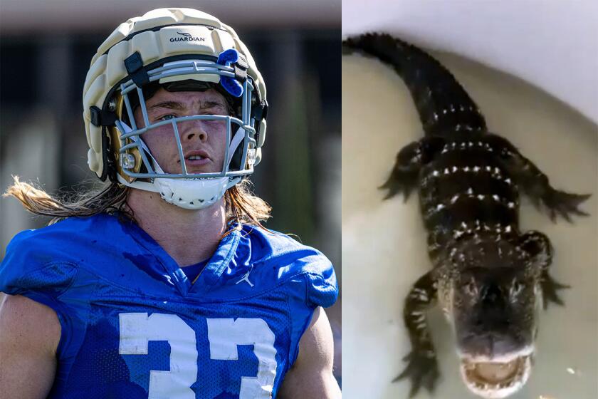 UCLA running back Carson Steele and his pet alligator, Crocky-J.