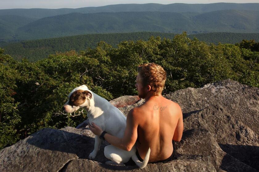 MOUNTAIN LAKE, VIRGINIA--JUNE 11, 2017--The view from the Appalachian trail in Mountain Lake Wilderness, Jefferson National Forest, will be changed forever if the Mountain Valley pipeline project is approved. Danny Moody, age 22, of Maine, is hiking the entire Appalachian train with his dog Daisy. The Mountain Valley Pipeline is a private pipeline project to bring natural gas from West Virginia to Virginia through federal lands and historic towns in Virginia. (Carolyn Cole/Los Angeles Times)