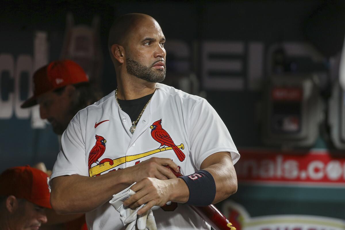 St. Louis Cardinals slugger Albert Pujols watches from the dugout against the Cincinnati Reds on Sept. 16.