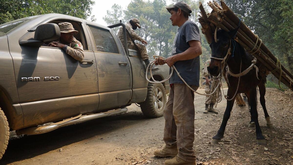 Francisco Huaroco (izq.), jefe de la escuadra de la Policía Forestal, pregunta a un residente si ha visto algo sospechoso en los bosques (Liliana Nieto del Río / para The Times).