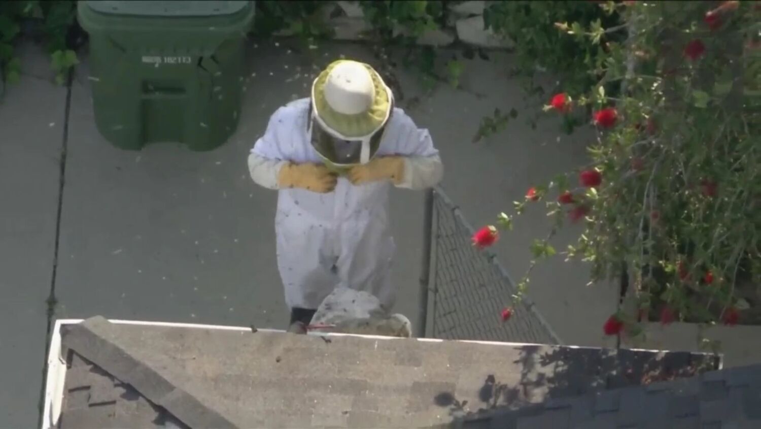 Bee swarm sends 2 to hospital, forces road closures in Encino